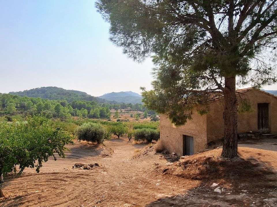 Finca i Benissanet, Tarragona - foto 2